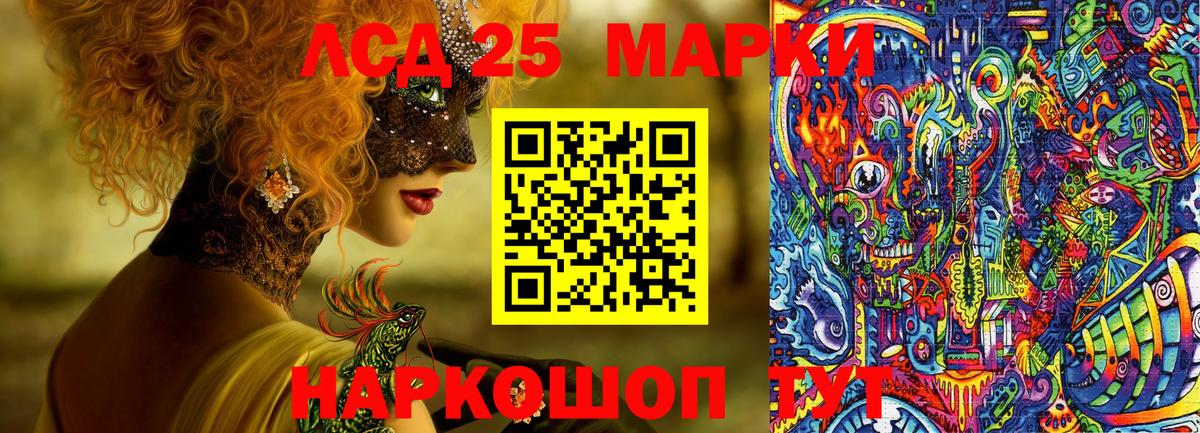Псилоцибиновые грибы Аша