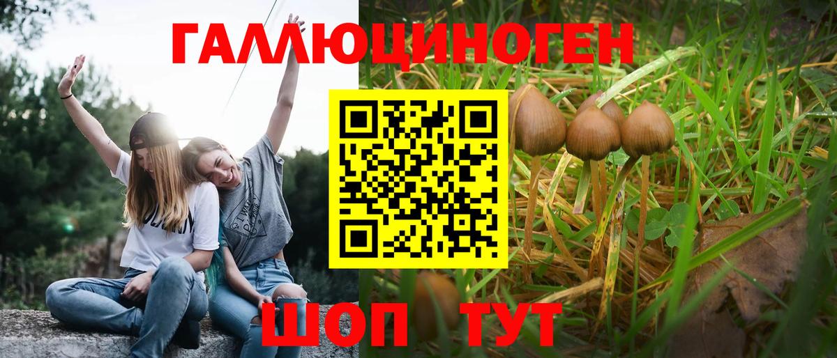 Галлюциногенные грибы MAGIC MUSHROOMS Аша