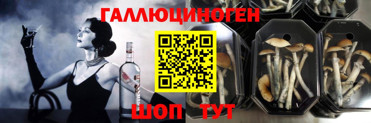 Галлюциногенные грибы Psilocybe  Галлюциногенные грибы Psilocybine cubensis  купить   Аша  Вход с VPN 